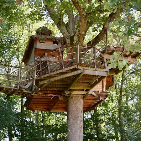 De La Romaningue * Pompignac