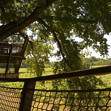 De La Romaningue Pompignac