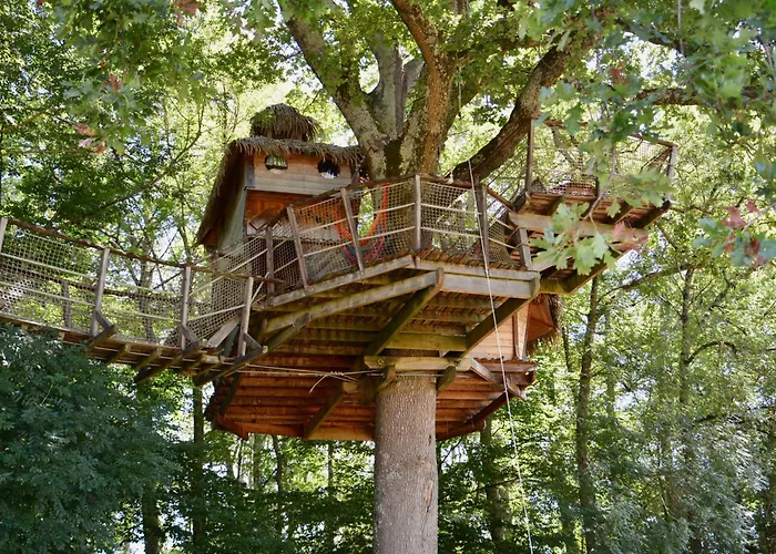 De La Romaningue * Pompignac