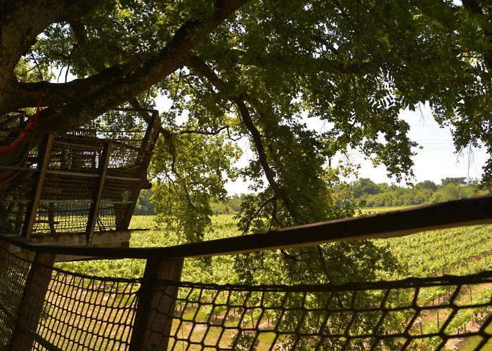 De La Romaningue Pompignac