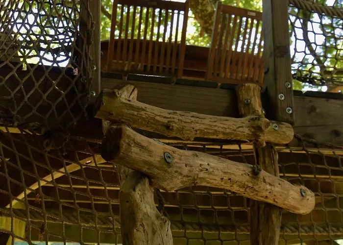 De La Romaningue * Pompignac