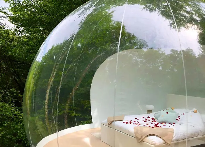 Lodge De La Romaningue *